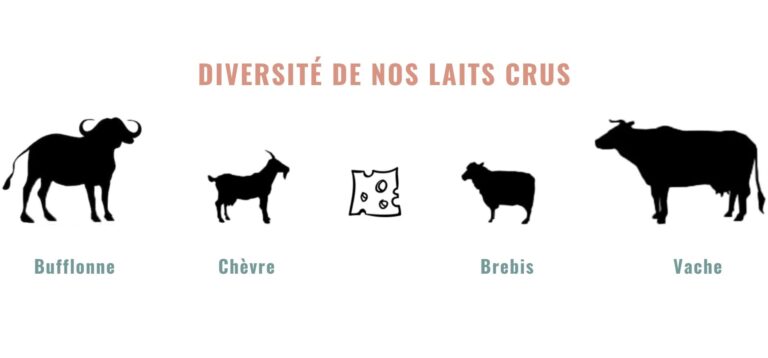 diversité lait cru