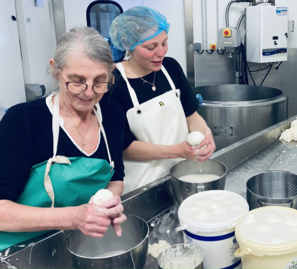 formation mozzarella ferme vache