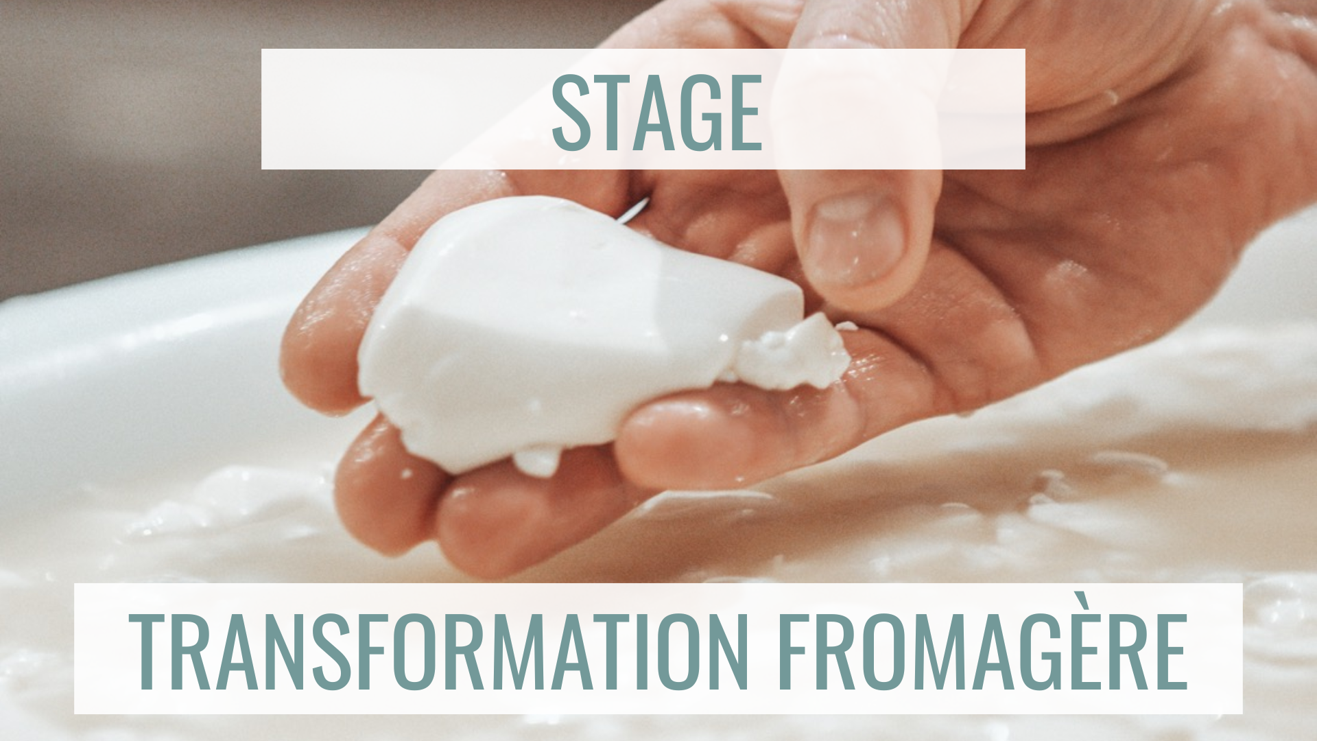 Stage Transformation Fromagère La Laiterie Toulousaine