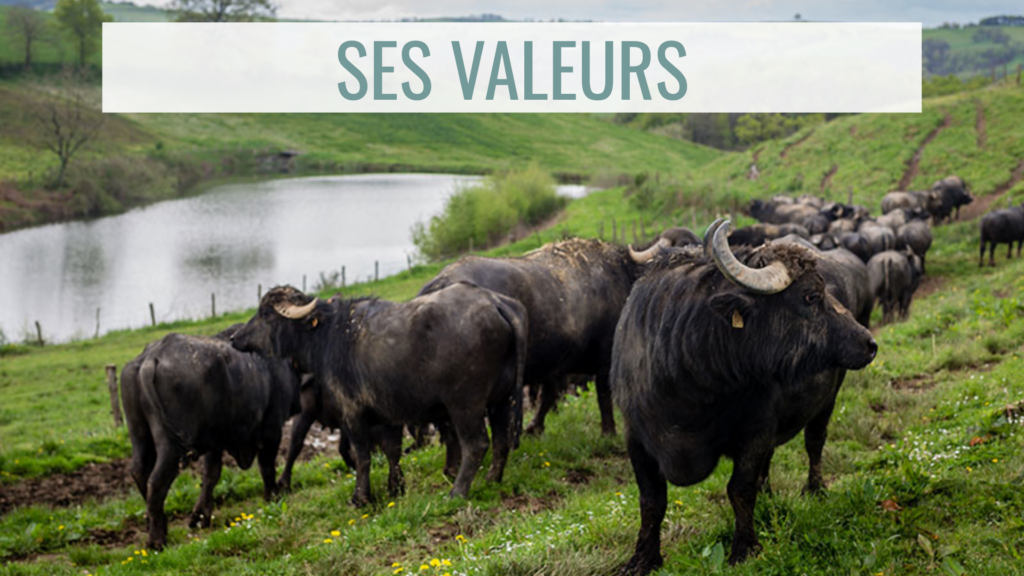 Les valeurs de La Laiterie Toulousaine